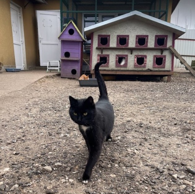 �������������� ����� ��� ��������: ������ ���������, ������ ���������� �������