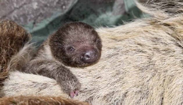 ������������ ������� � ������� �������� � ������� ������� ������ �������