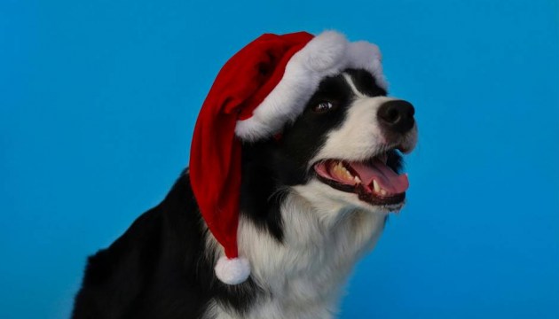 ������������ �������� �� �������� � ������������ �������� ��������