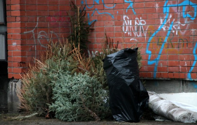 ���� � ��� ��������: ��� � ���� ���������� ����