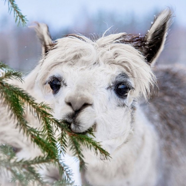 �������� ����� ����� ����� � ��������� �� � ������� JuRita