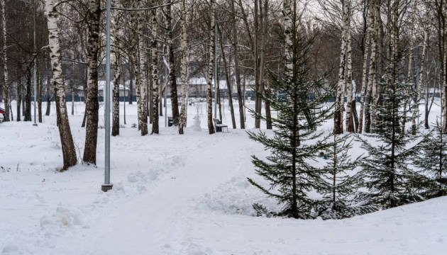 C��� � ������������ ���� ������� (+����)