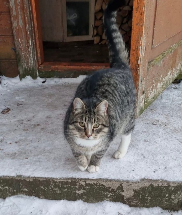 ������� ������ � ������: ������ � �����, ���������� �� ������, ��������� � ����