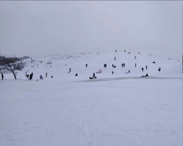 ���� �� �����: �������� ���� ������� ��-�� ����� ����� �� ���������� ����� � ����