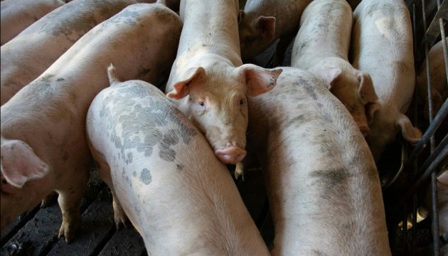 ������ ������� ��� � ���� ����: � ���������� ��������� ��������� ����� 22 ����� ������