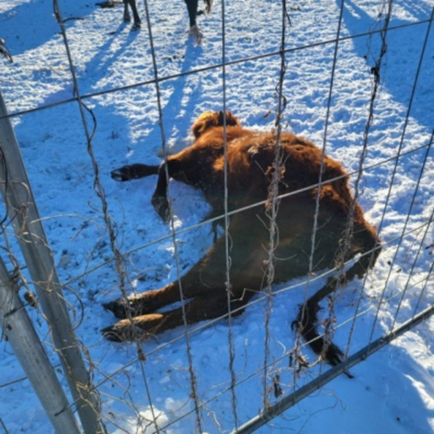 ��� � ��������� ������� ������ 95 ����� �������� �������� ����� 