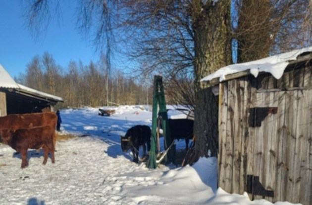 ��� � ��������� ������� ������ 95 ����� �������� �������� ����� 