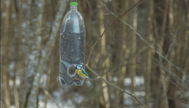 ���������: ������ ������ � �����, ����� � ��������