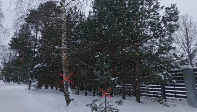 �� ������������ ���������� �������� ������� �������� �� ���� ������