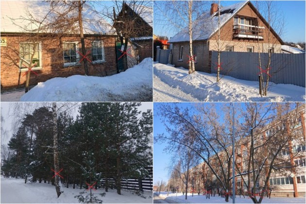 �� ������������ ���������� �������� ������� �������� �� ���� ������