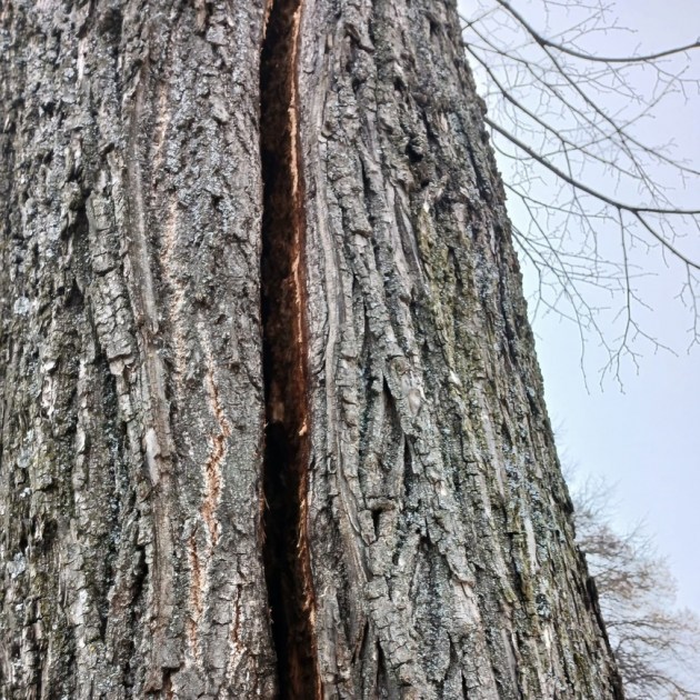 ������ ����� �������� ����������� �� ��������: ������� ������ �������� � ��������