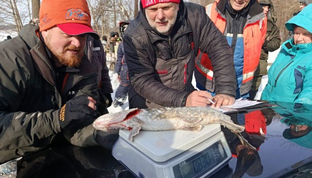 ����� ������� ���� � 840 �������: ����� �������� ������������ � �������������� ����