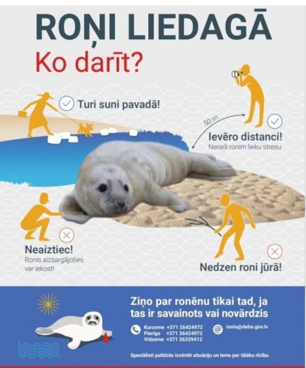 � ���������� �������� ������� � ���� ���� ���������: ������� ������ ������� ��������� (+�����)