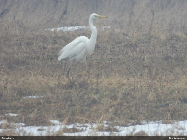 ��������: � ������ ������������ ��������� ����� 