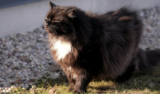 ����� �������� �������: ��������� ���� ������� ������ �� ��������� ������