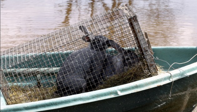 �������� ������������� � ����� ���������� � �������� ������������ ��������