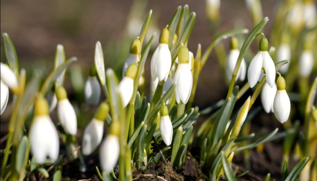 ���� ����� � �������������� ���� (����� ����������� �� ����������� ������)