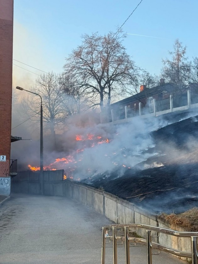 ����������� ����������� � ������: ������ ����� ������ ������ ���������� � ��������