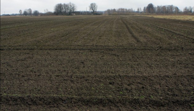 ������ ������ ������ �� �������: ������� �����������, ����� �� � ���� ���� �������� ��������