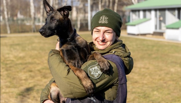 ������� ��������������� ������������ �������� ����� ������ (+����)