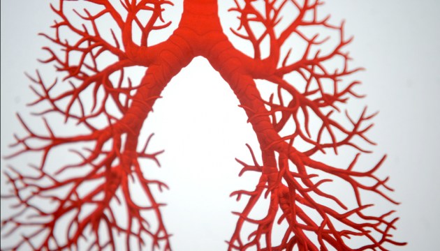 ���� ����������� ��������� ��������� ������