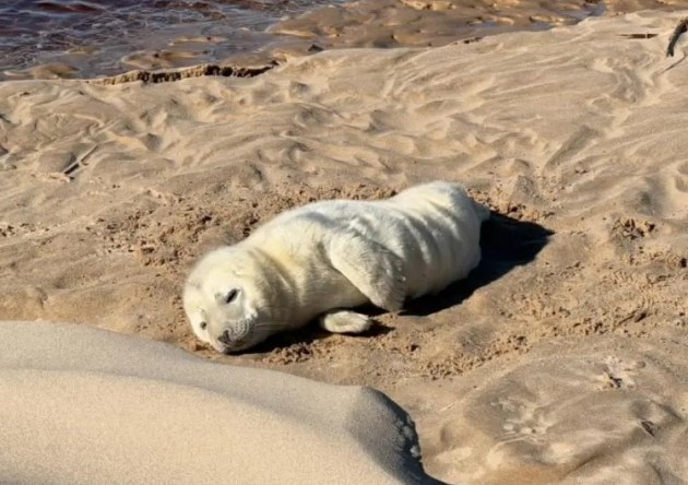 �������� �� ���������� ������: ��� �� ���������?