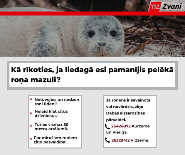 �������� �� ���������� ������: ��� �� ���������?