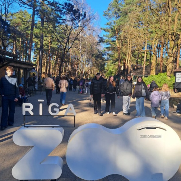 22 ������ �� ����: ��� ����� ���������� ������� � �������� ������