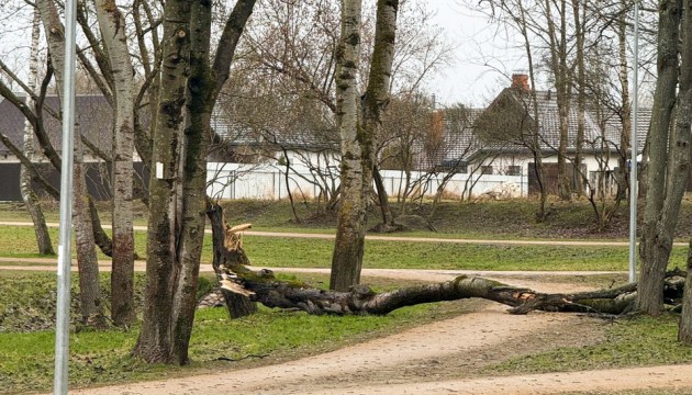 ������������ ��������� �������� � ��������� � ������������ �����