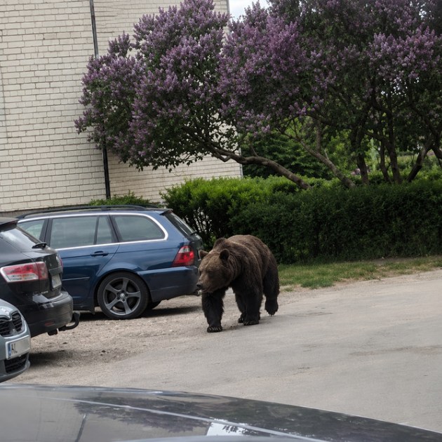 ��� ��� � 20 ������ �� ����: ������ ��������� ��������� �������, ��������� � ����� (+�����)