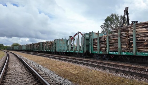 ��� �����! LDz Cargo ������������� � ����� �����������