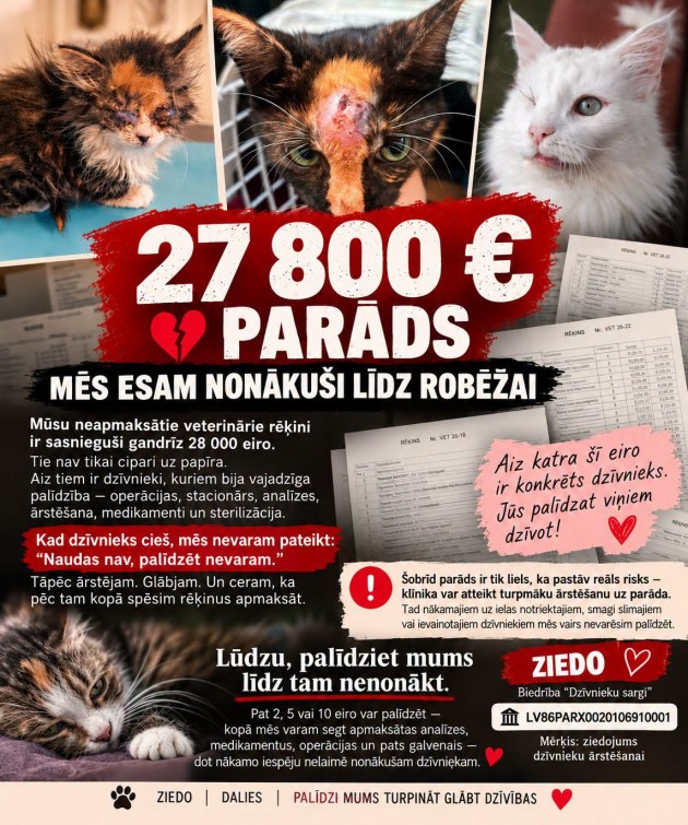 ���� �� ������� �������� ����������� � 28 ������� ����: Dzīvnieku sargi ������ ������